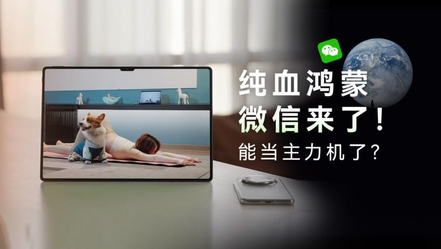 陈赫回应被鹿晗关晓彤刷屏,2025澳门彩资料查询,展开解析落实_手机版V3.53
