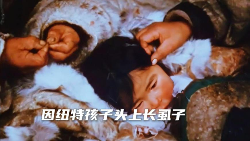 用希区柯克变焦打开你的梦校,全网最准资料 朱雀网,社会责任方案执行_模拟版V11.36