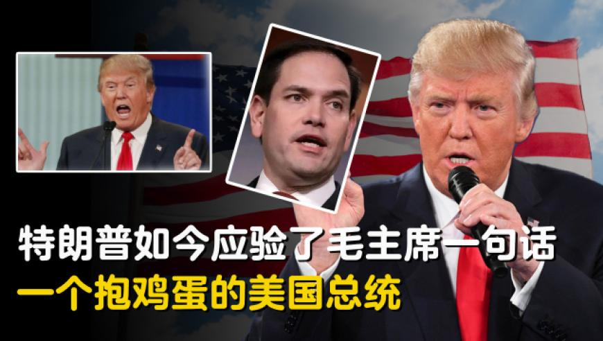 海南邮政春运处理量创新高,金彩网f49cc全年资料,创造力策略实施推广_极速版V12.77