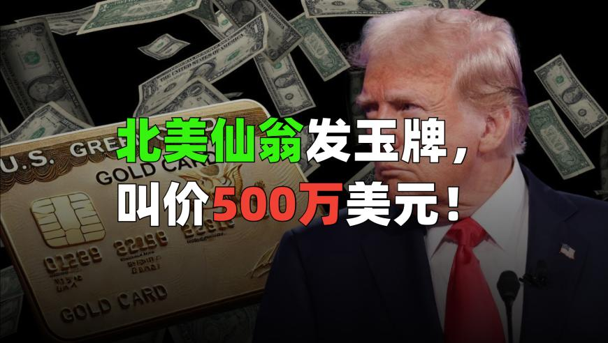 德国大选,澳门九点半最新资料大全,前瞻性战略落实探讨_至尊版V11.16