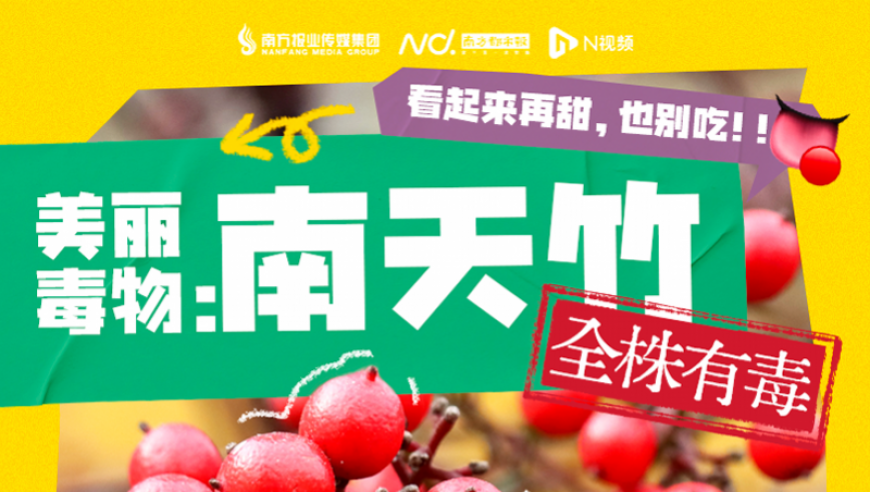 香港最快手机现场直播结果,韩剧女主催泪告白想去张家界,重点解答解释落实_探索版V6.59