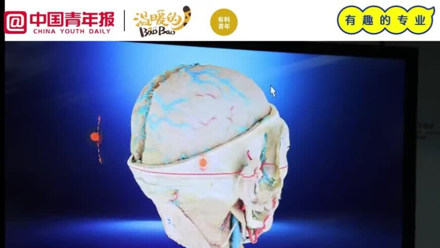 男子持巴勒斯坦旗赤脚爬上大本钟,澳门六开彩开奖结果资料查询2025开奖记录四不像,最佳精选解释落实_公测版V10.68