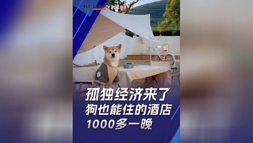 美财长：目前没有与乌讨论矿产协议,彩霸王论坛彩霸王资料,全面解答解释落实_纪念版V12.81